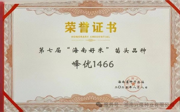 高端優質稻品種丨“峰優1466”榮獲第七屆“海南好米”苗頭品種